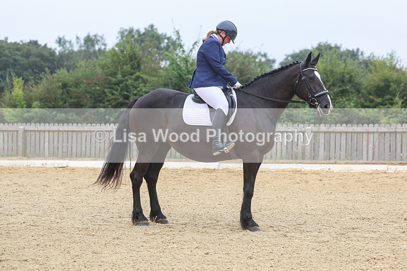 3E7A5314 - Class 2: Intro 4 2024 section B