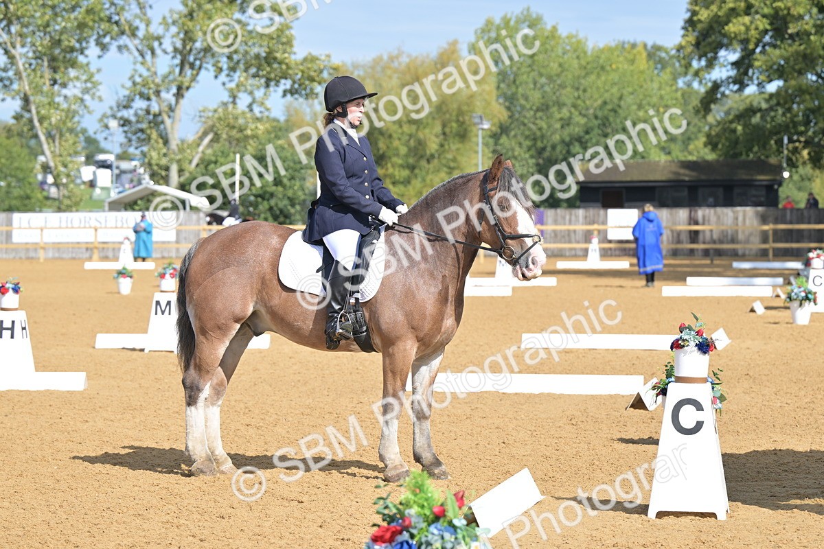 SBM_03882 - D2 - Small Tour Championship Intro 2