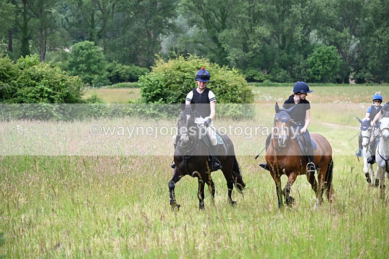 WJ6_7922 - Camera 1 Gallops