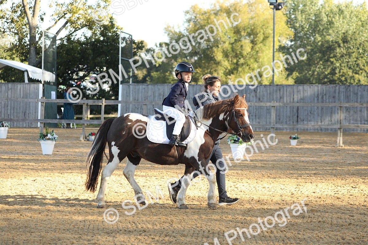 SBM_33688 - D26 - Starers - Lead Rein