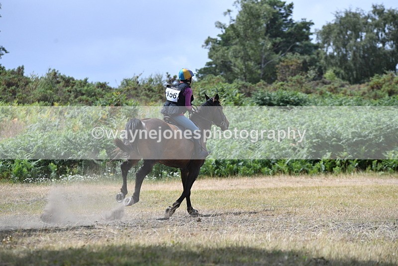 WJ5_2014 - XC Time 12:56 to 13:21