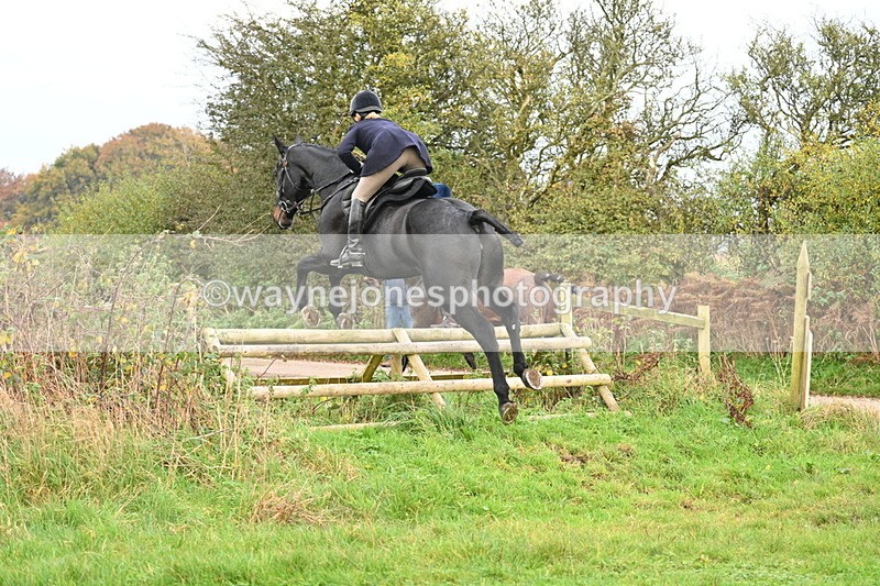 WJ7_0316 - Camera 1 & Last fence