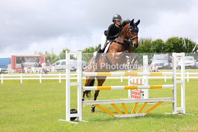 3E7A7100 - Class 12: Senior Foxhunter/1.20 open