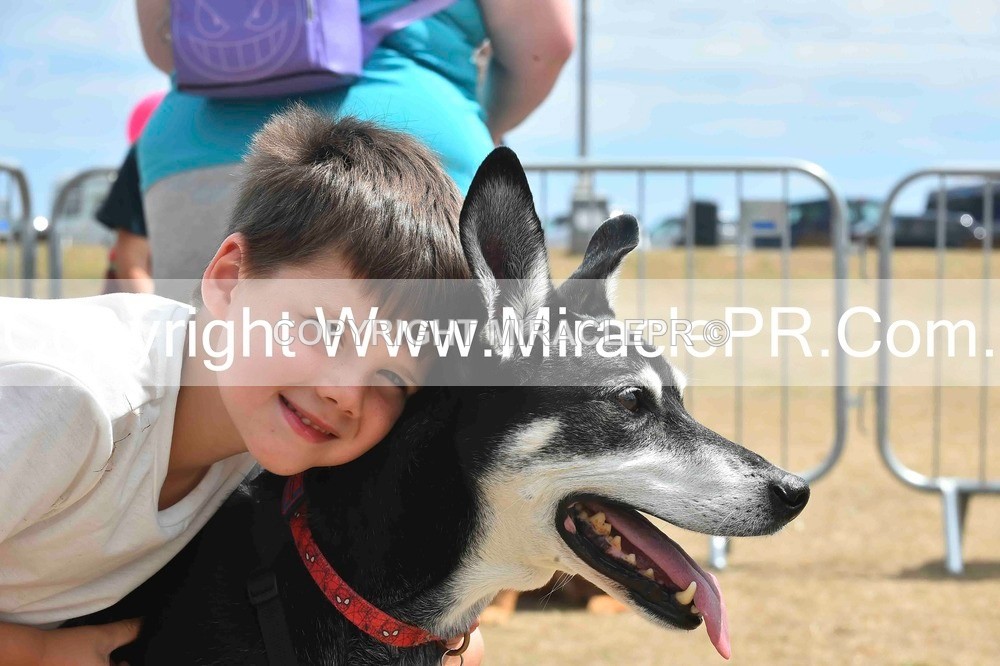 SH4_0113 - Dog show.