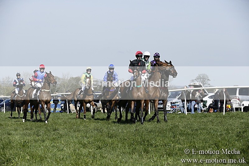 PtP 260317 185 - Mendip Farmers Point-to-Point Ston Easton 26/03/17