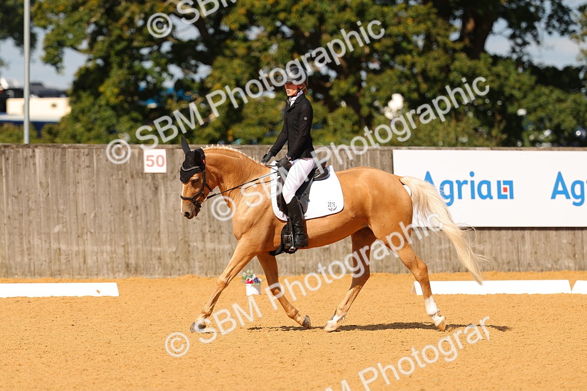 SBM_40264 - D14 - Grand Tour Championship - Prelim 14