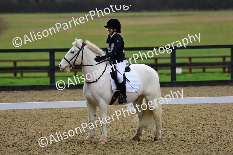 20260125-0593 - Class 9b - Walk Trot Unassisted