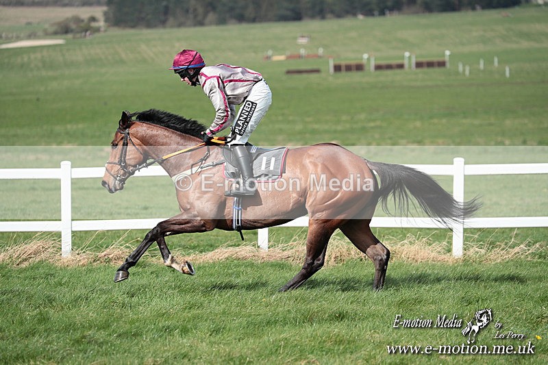 PtP 230324 539 - Tedworth Hunt PtP Larkhill Raccourse 23rd March 2024