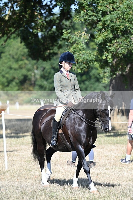 WJ7_3393 - Class 9 Mountain & Moorland Ridden