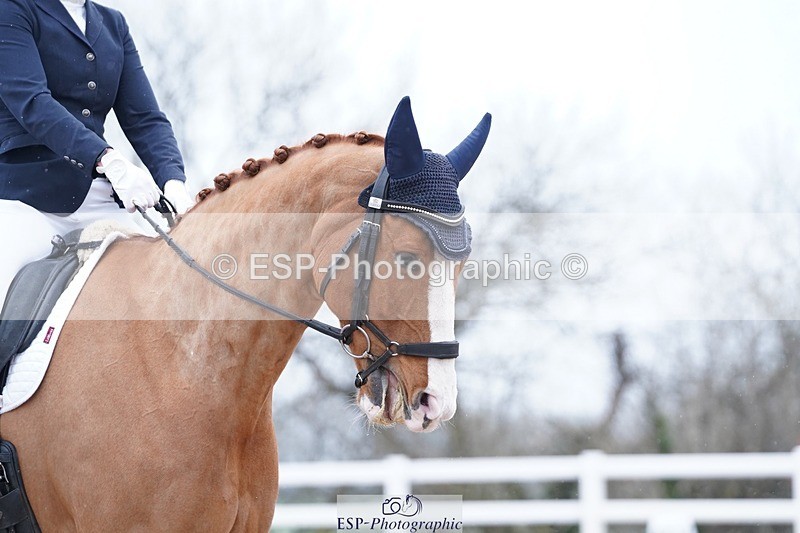 250214-120406-00499 - 231-Katie.Palmer-Headmore.Braithwaite