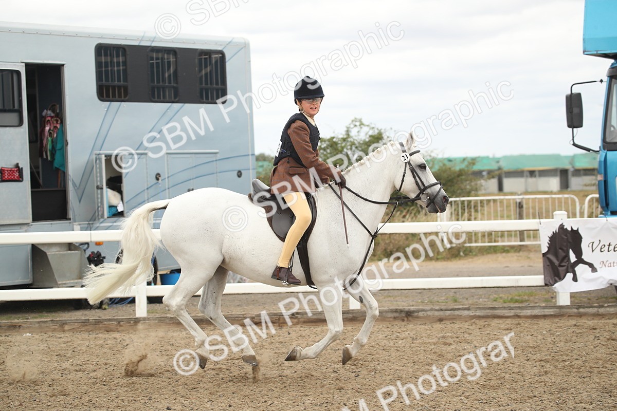 SBM_16851 - Class 507b - Working Veteran 60cm (20+)