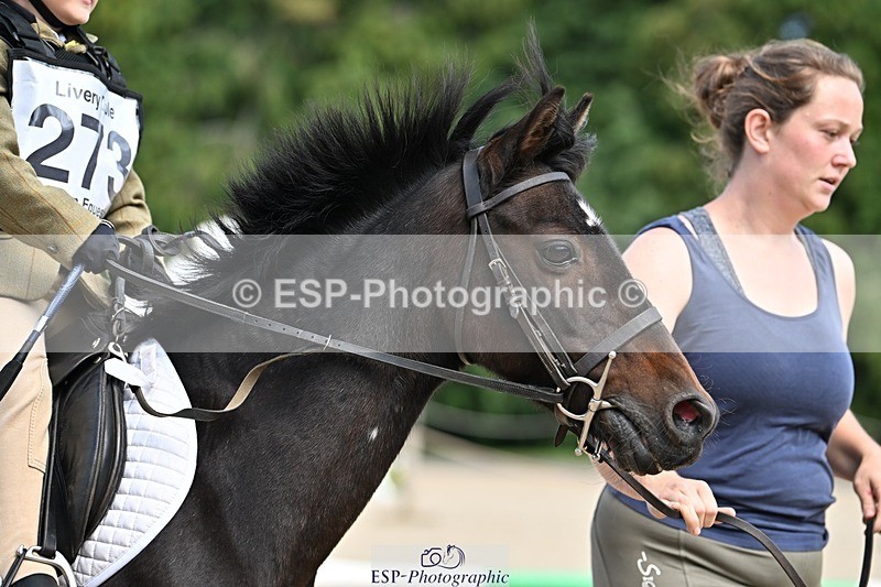 230824-142912-04265 - Round 1 Lead Rein 14.00 to End