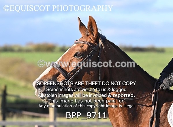 BPP_9711 - SHORT ARENA