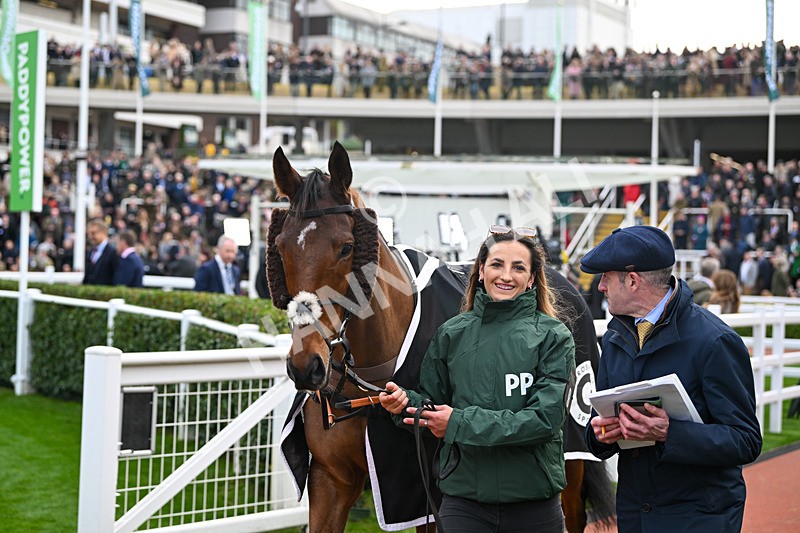 161124-Race 4-Paddock-In Excelsis Deo-0193 - Race 4