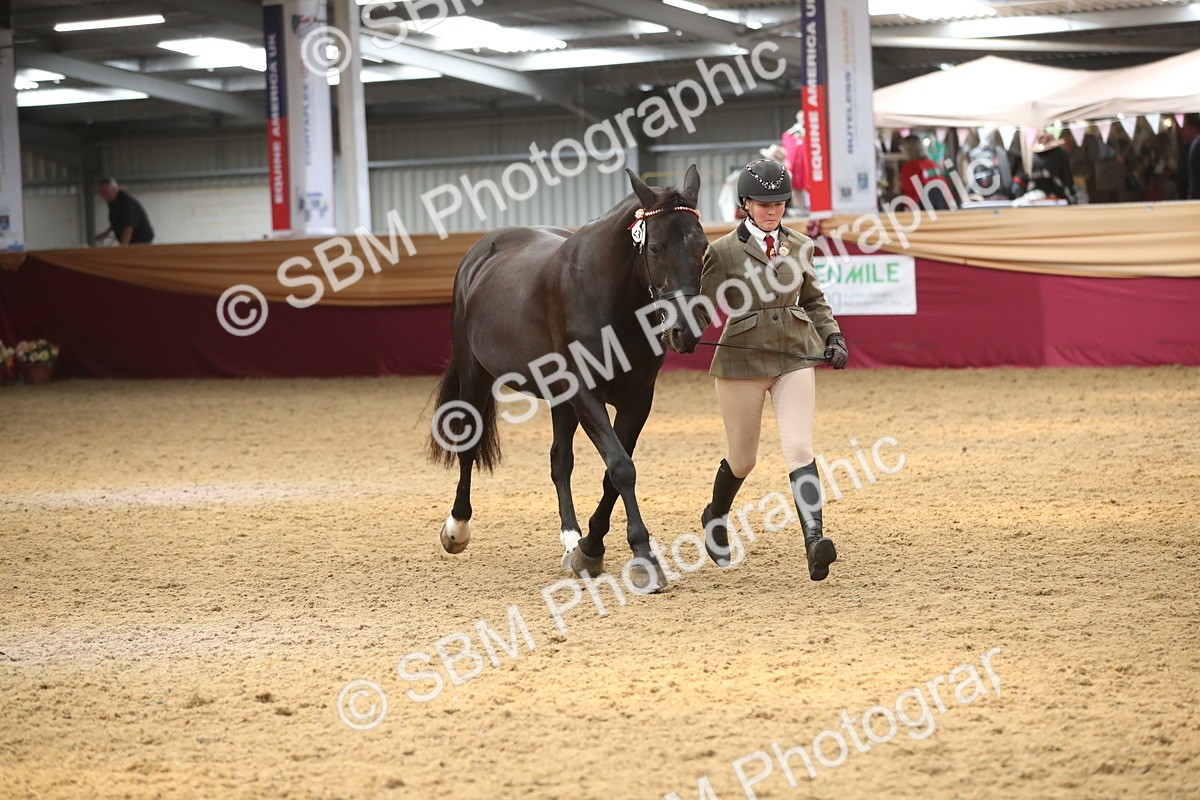 SBM_05328 - Class 8R - Regional IH Veteran
