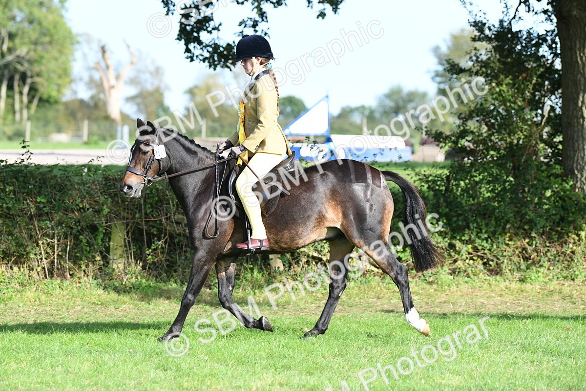 SBM_52094 - S21 - Novice & Newcomers 1st Ridden Pony