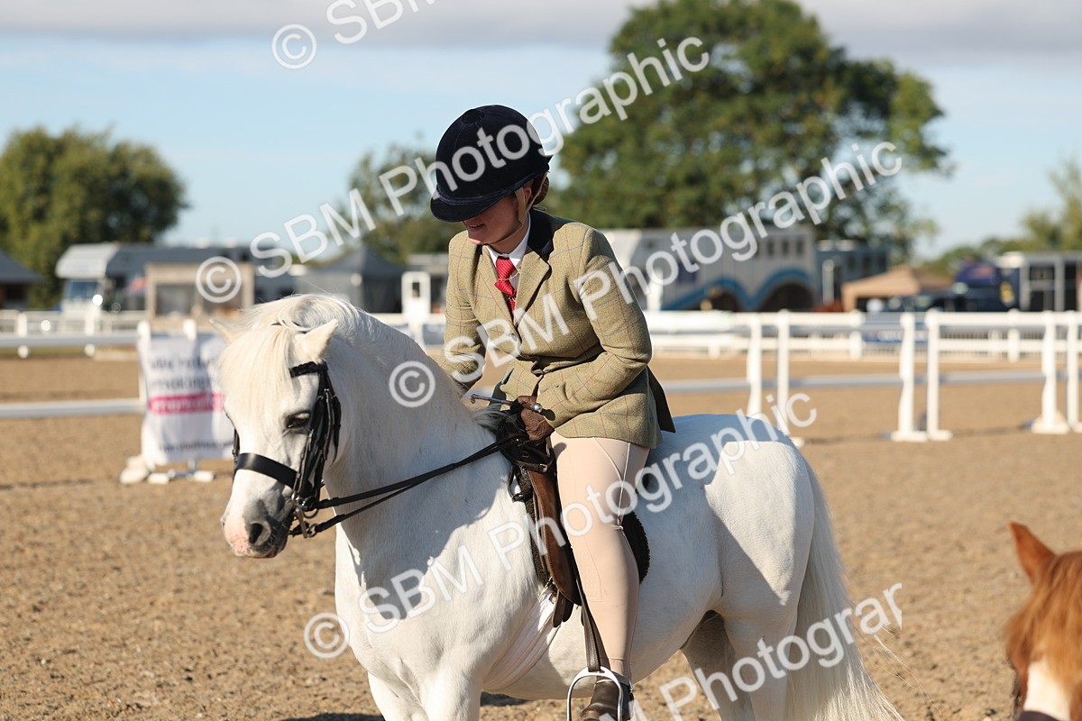 SBM_10924 - Class 301 - Ridden M&M Small Breeds
