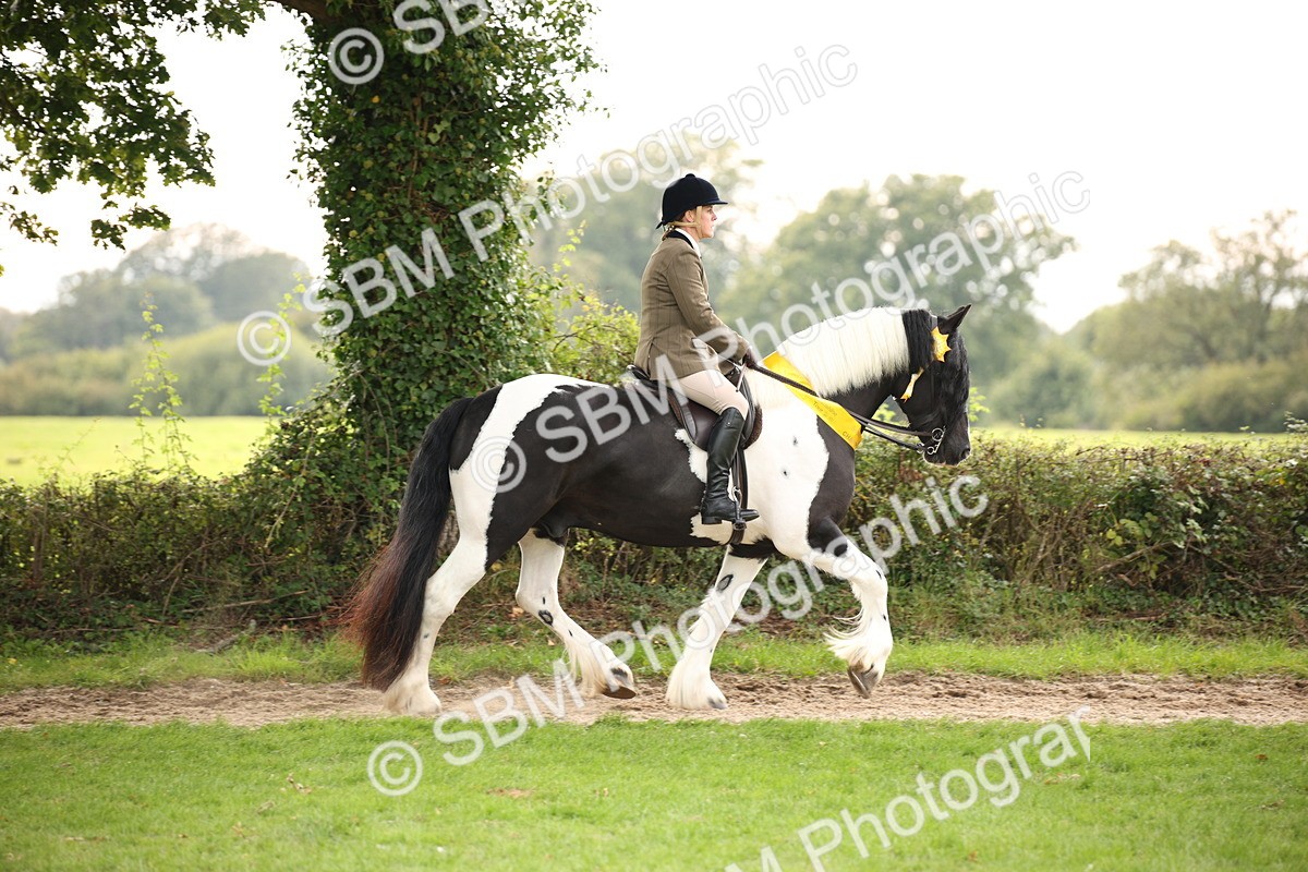 SBM_73622 - Ridden Horse Supreme Championship