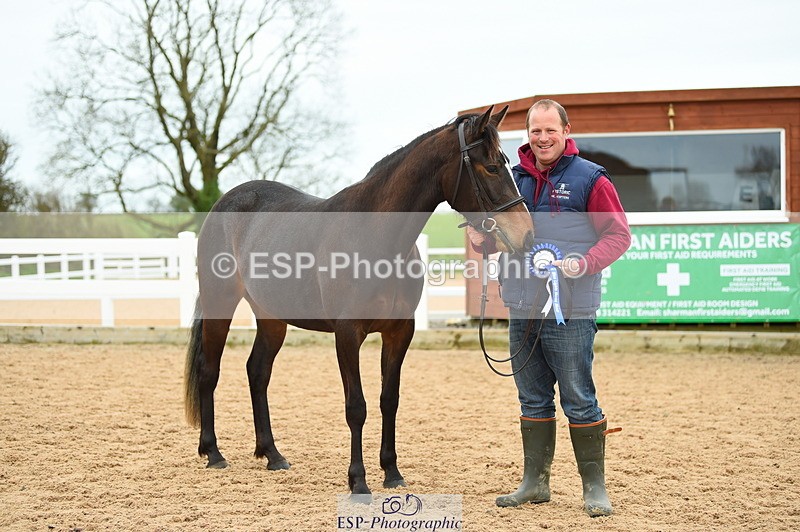 230416A-140916-04758 - Cls 46+43 In Hand Warmbloods and Foreign