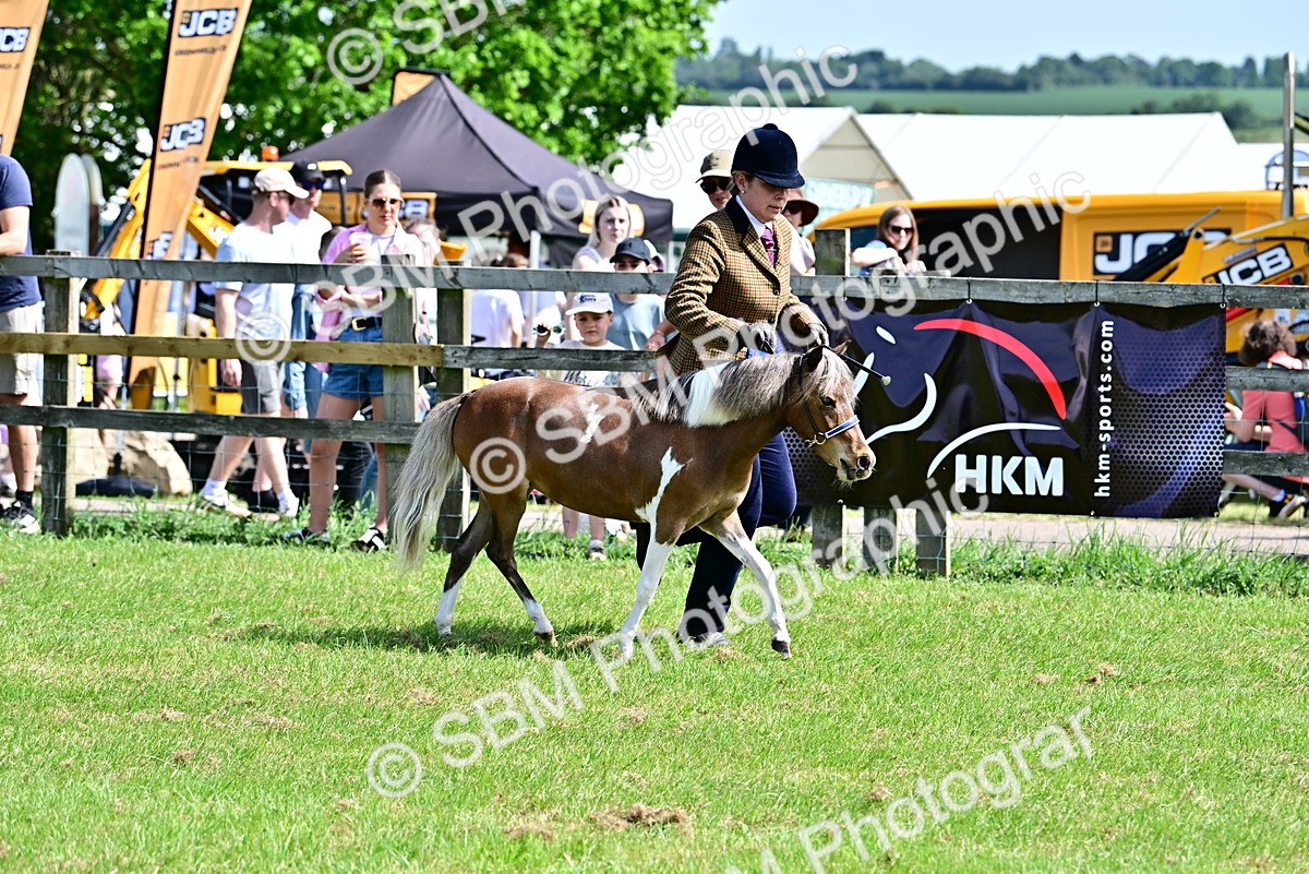 SBM_03649