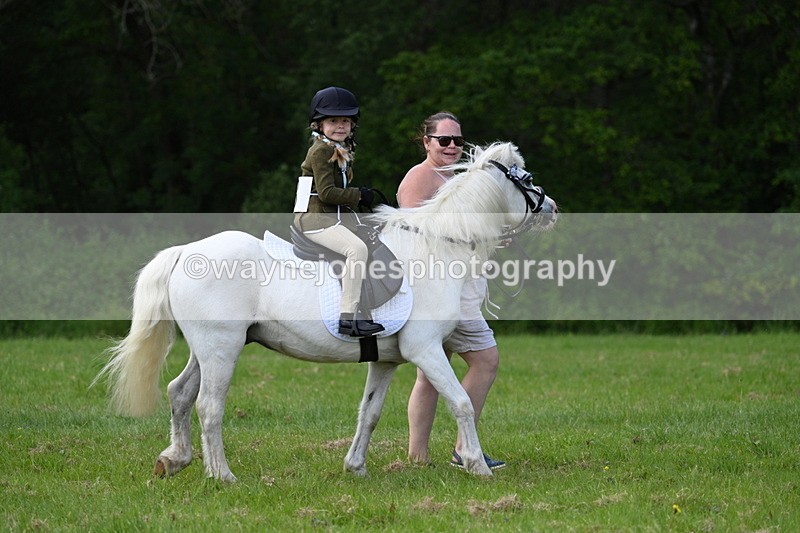 WJ7_1709 - Class 11 Condition & Turnout