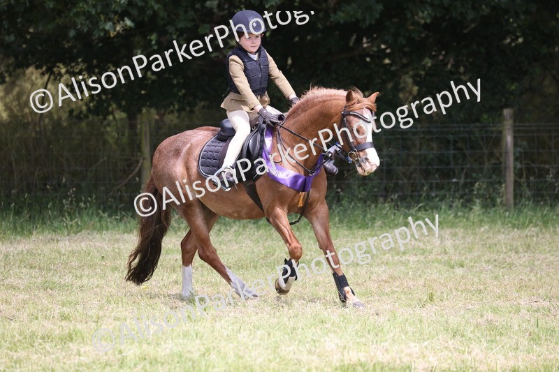 20260614-2181 - Class 21 - Novice Working Hunter Pony