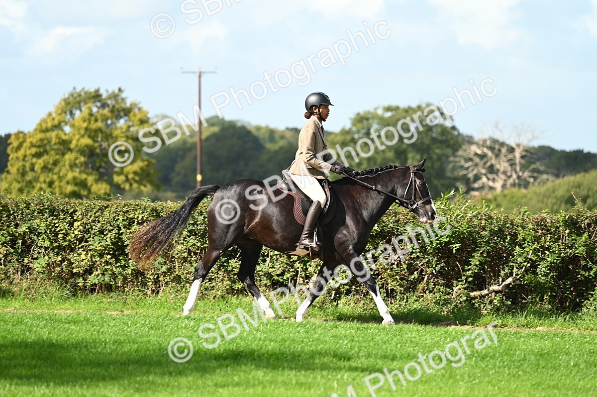 SBM_01917 - S2 - TSR Ridden Horse Showing
