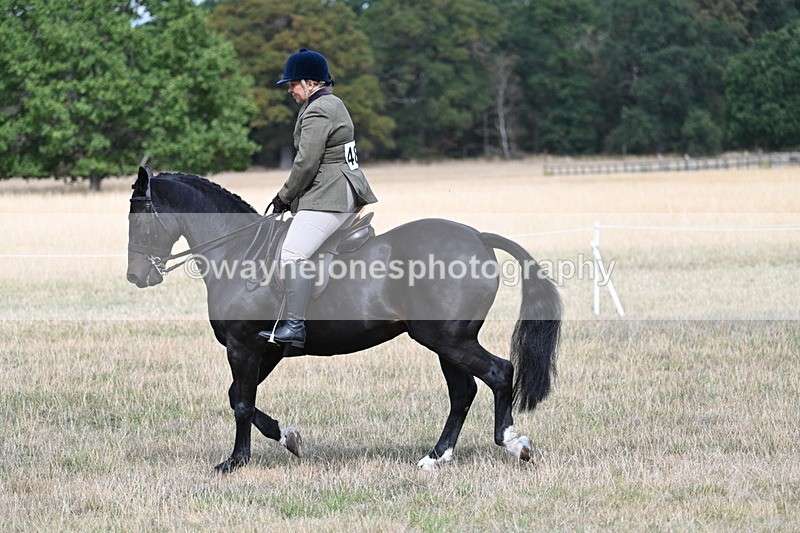 WJ7_5855 - Class 13 Ridden Veterans