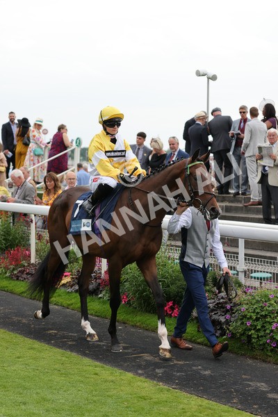 yr20082021r5-10 - Race 5 4.10pm British Stallion Studs EBF Convivial Maiden Stakes (Plus 10 Race)