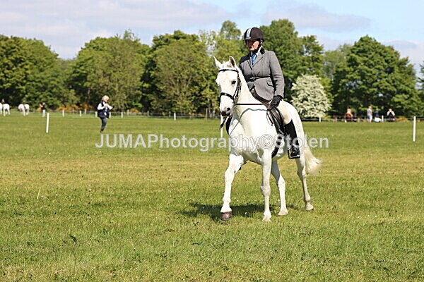 IMG_4180 - Working Hunter