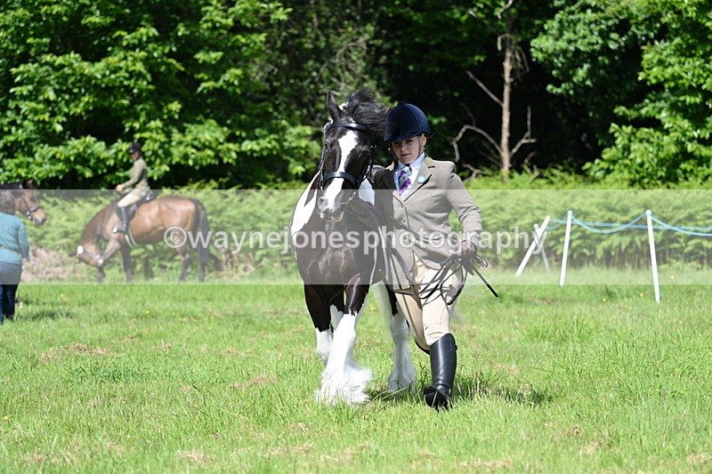 WJ7_1177 - Class 11 Condition & Turnout