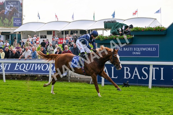 160524-Race 4-Economics-5989 - Race 4 3.45pm Al Basti Equiworld Dubai Dante Stakes