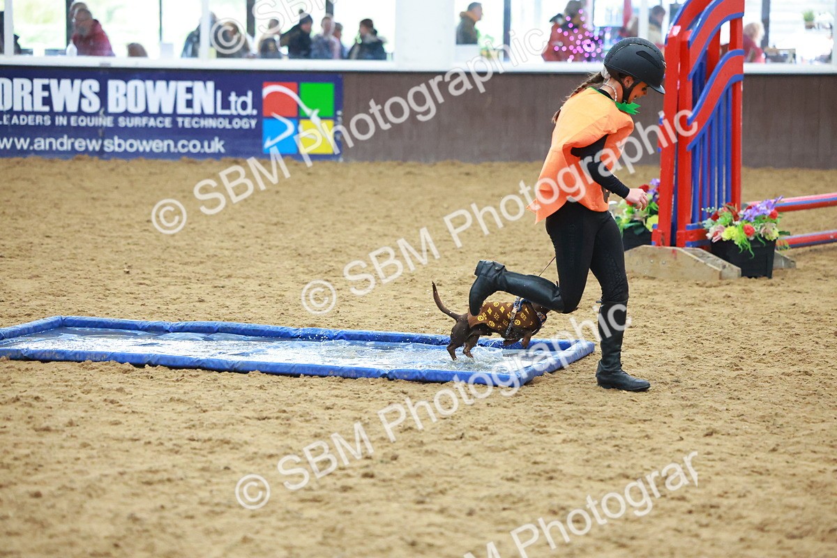 SBM_002219 - Class 3 - Horse & Hound (60cm)