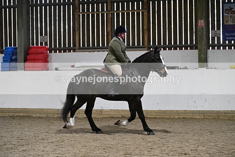 WJ7_3932 - Class 17 Ridden Cob