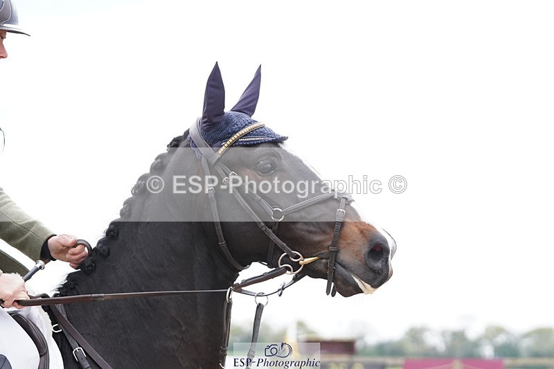 250419-141552-11216 - 752-Lizzie.Luxton-SHANNONDALE.LUIGI