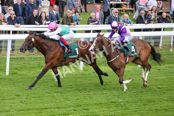 yr11052022r5-20 - Race 5 4.10pm Paddy Power 'Here For The Craic' Stakes