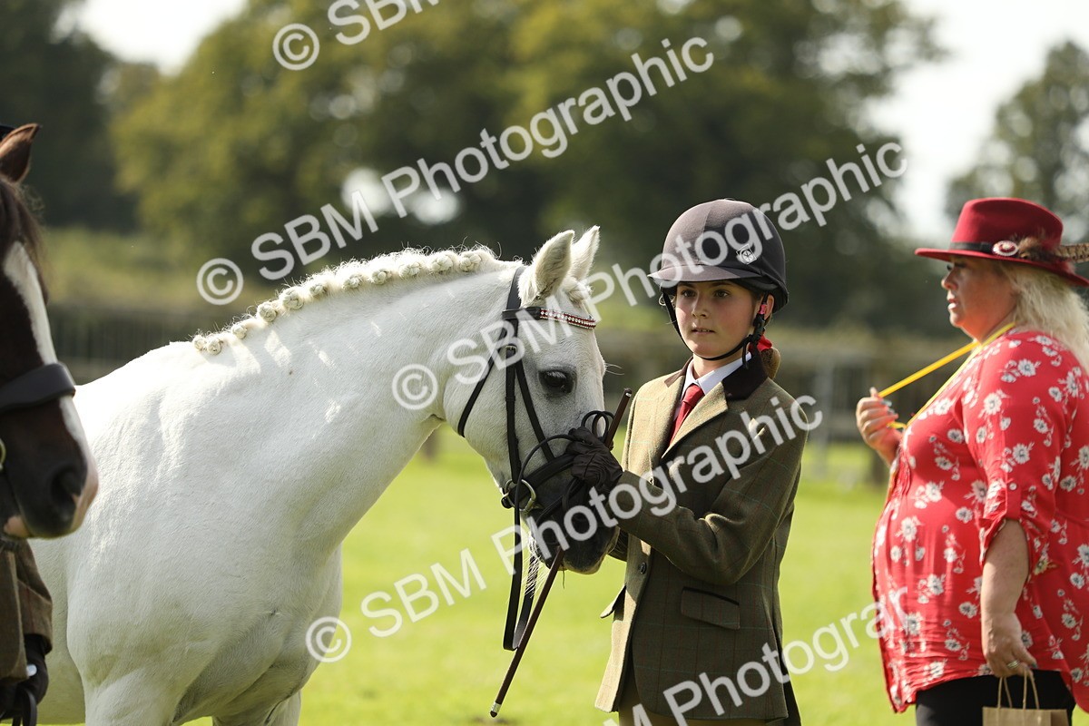 SBM_68560 - S40 - Junior Handler 9-12 Years