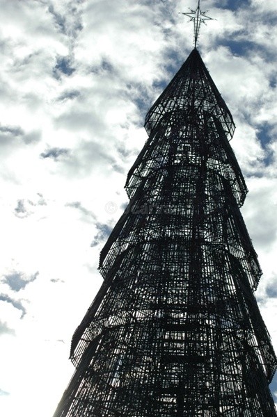 Tall - Oh Xmas Tree