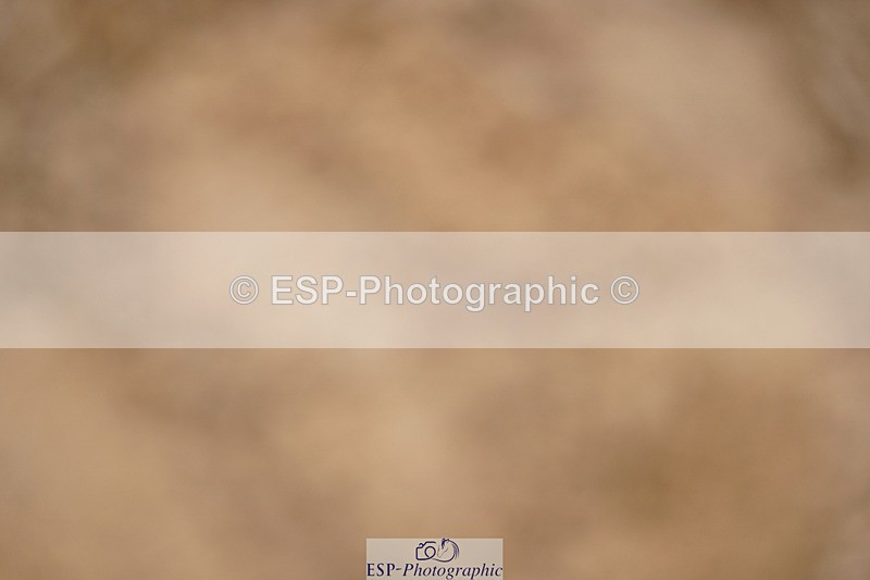 240317A-102916-04786 - Cls 25 Snr 1.20m Open