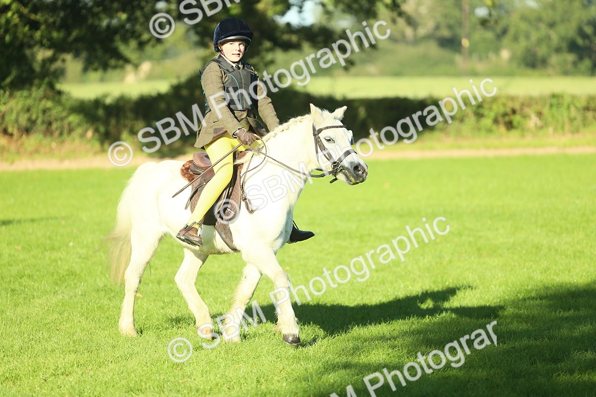 SBM_36301 - S29 - Novice & Newcomers Working Hunter Pony