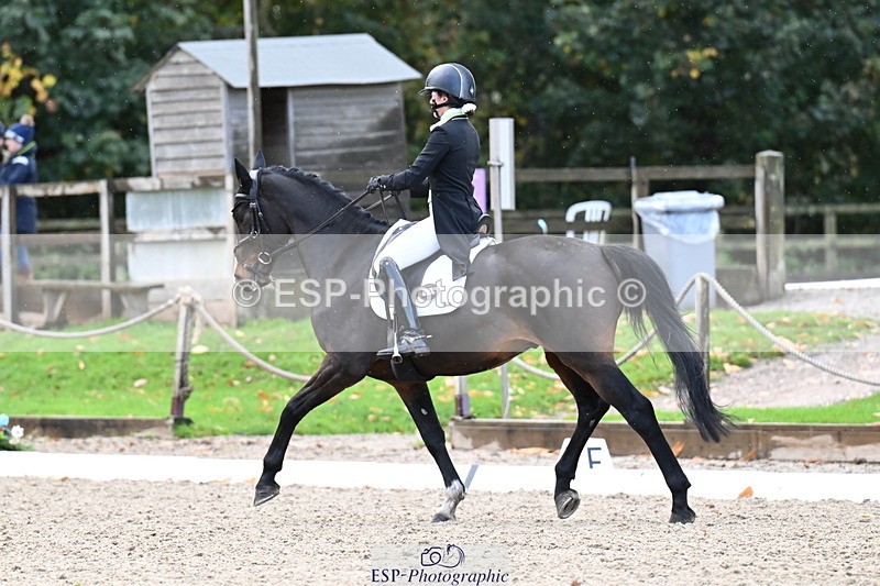 251023A-140250-05442 - B-148-Tarka.Abraham