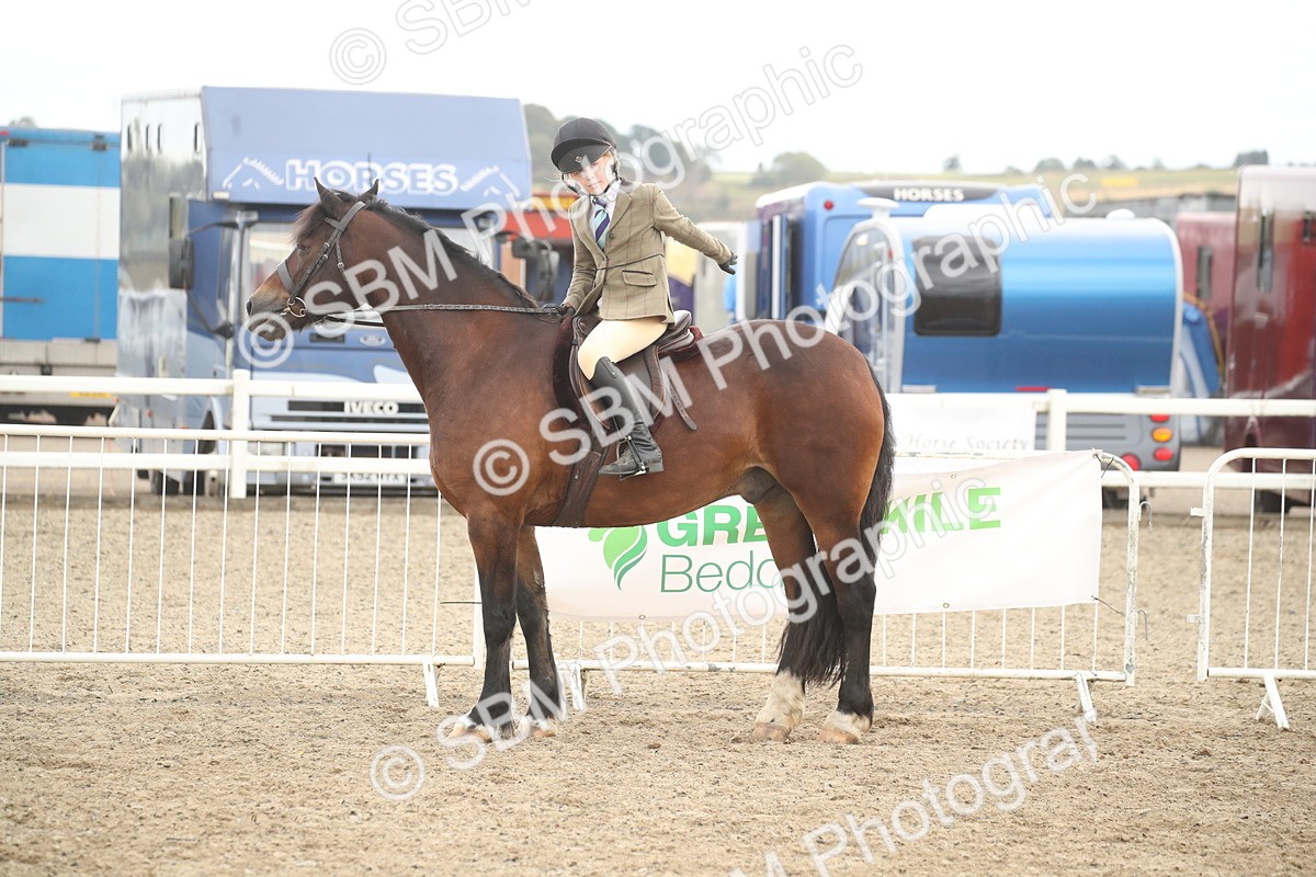 SBM_17910 - Class 508b - Working Veteran 70cm (20+)