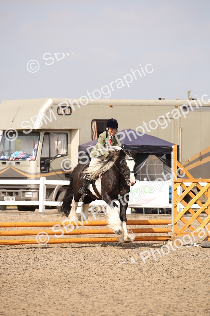 SBM_14334 - Class 407b - Working Veteran 60cm (20+)