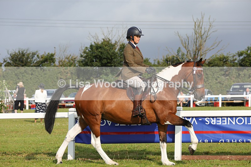 1X9A2876 - Class 25: Ridden Plaited Coloured Horse