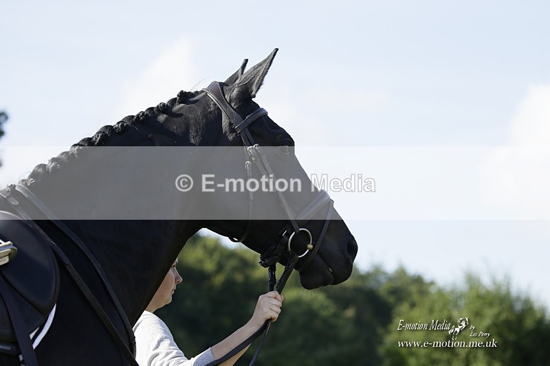 BVRC 120921 207 - Bourne Valley Riding Club UA Dressage & Show Jumping 12/09/21