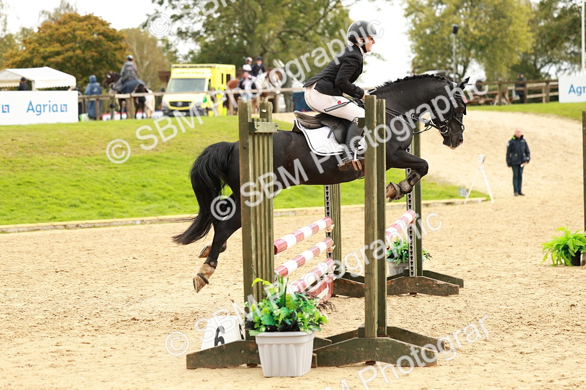 SBM_38427 - Supreme Championship 80cm 85cm