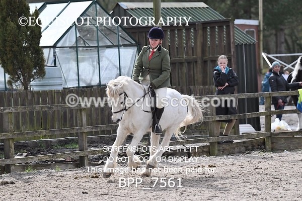 BPP_7561 - RING 1  (RIDDEN HORSES / IN HAND / VETERAN ETC)