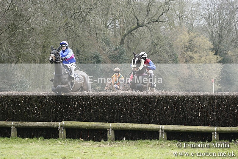 PtP 110318 113 - Hampshire Hunt Point-to-Point Hackwood Park 11/03/18