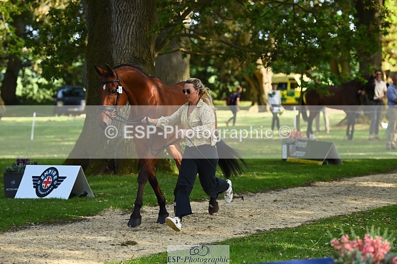 230524-171826-01421 - 177-ARGENTINO_BK-Dani_Evans-WEDTrotUp+DR