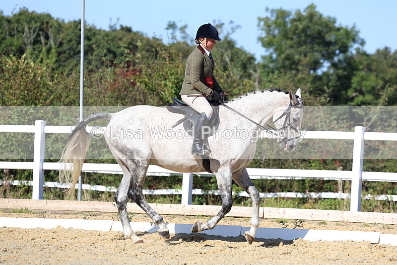 3E7A5643 - Class 9: Open Ridden Hunter